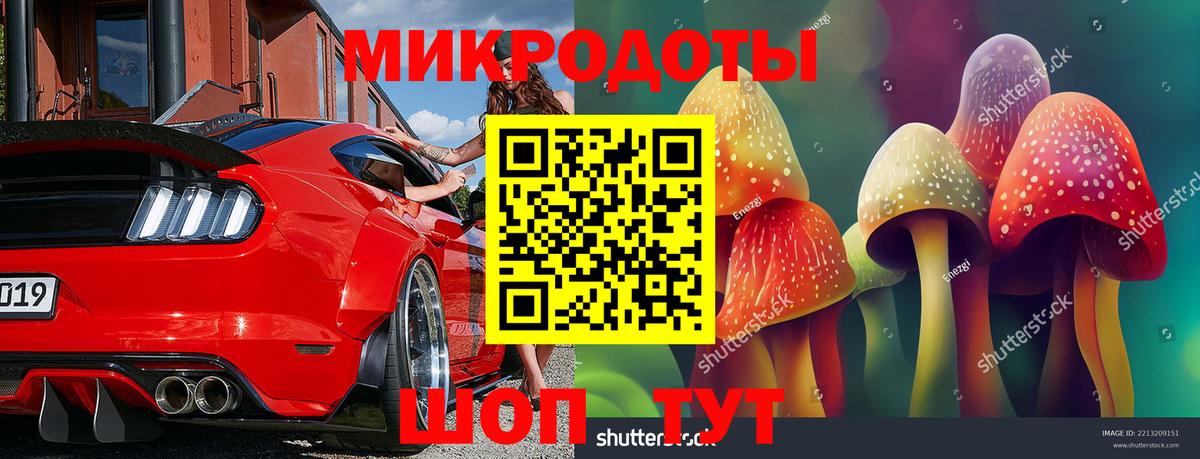 Галлюциногенные грибы Cubensis Лосино-Петровский
