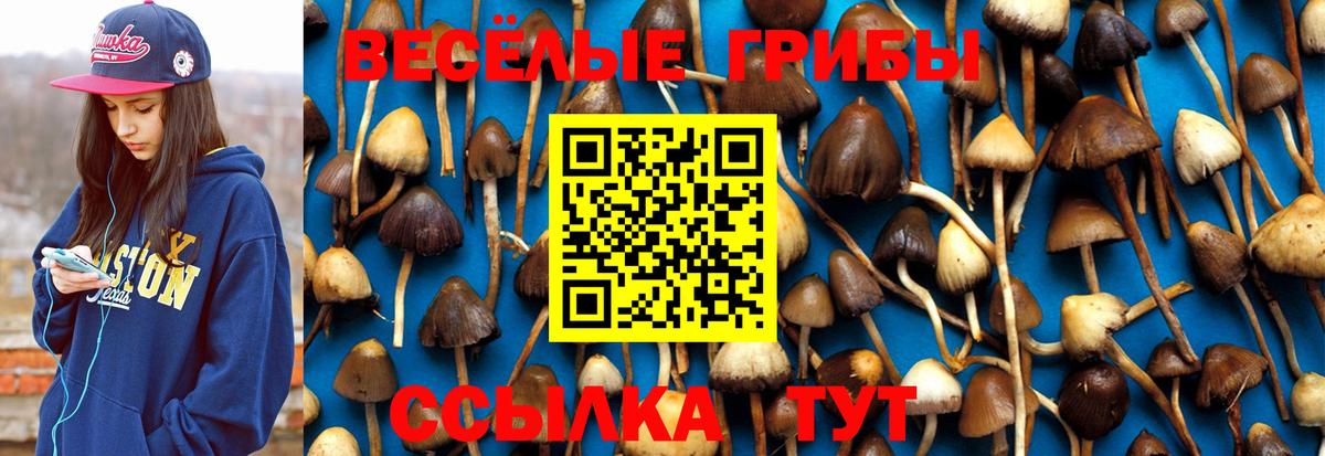 Галлюциногенные грибы MAGIC MUSHROOMS  Вход с VPN  Лосино-Петровский 
